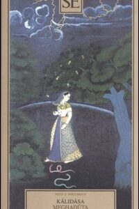 Libro Meghaduta il nuvolo messaggero di Kàlidàsa - ean 9788877109330 - SE