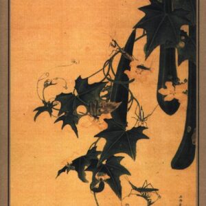 Libro Aforismi sulla radice degli ortaggi di Zicheng Hong - ean 9788877109569 - SE