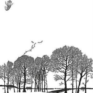 Libro Memorie di una contadina di Lev Tolstoj - ean 9788877134912 - Casagrande