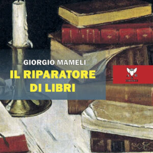 Libro riparatore di libri di Giorgio Mameli - ean 9788877284990 - A & B