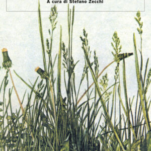 Libro metamorfosi delle piante e altri scritti sulla scienza della natura di Johann Wolfgang Goethe - ean 9788877461872 - Guanda