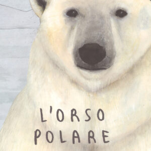Libro orso polare di Jenni Desmond - ean 9788878745155 - Lapis