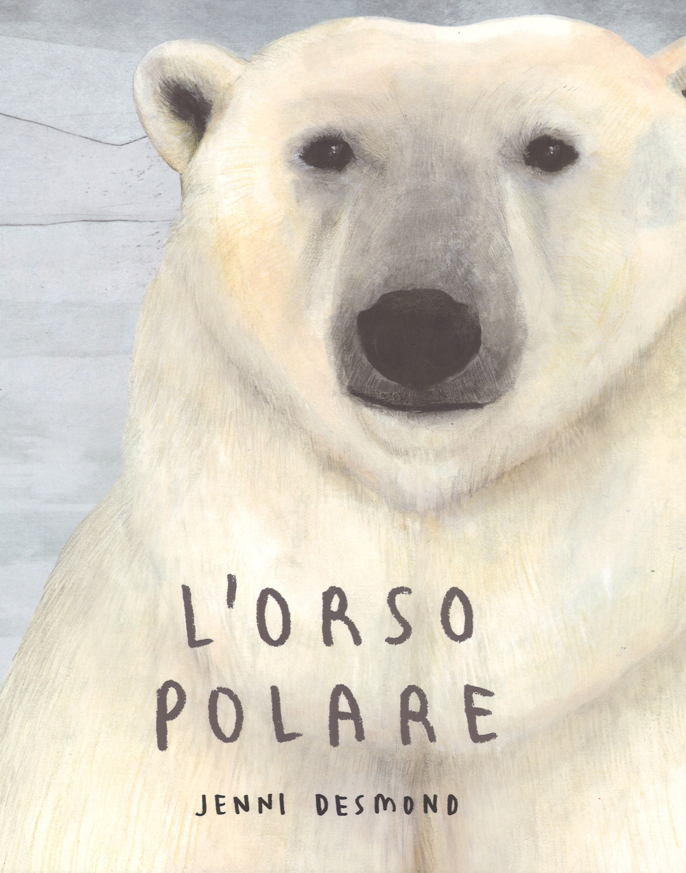 Libro orso polare di Jenni Desmond - ean 9788878745155 - Lapis