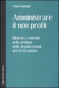 Libro Amministrare il non profit. Bilancio e controllo nella gestione delle organizzazioni del terzo settore di Luigi Guadagni - ean 9788879374668 - Tullio Pironti