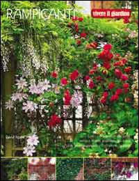 Libro Rampicanti di David Squire - ean 9788880395690 - Il Castello