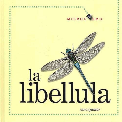 Libro libellula di Ting Morris; Desiderio Sanzi - ean 9788882793098 - Motta Junior