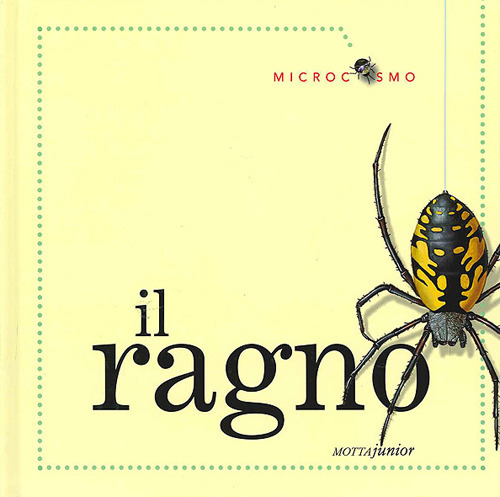 Libro ragno di Ting Morris; Desiderio Sanzi - ean 9788882793104 - Motta Junior
