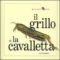Libro grillo e la cavalletta di Ting Morris - ean 9788882793180 - Motta Junior