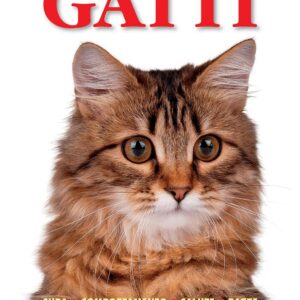 Libro Gatti. Cura