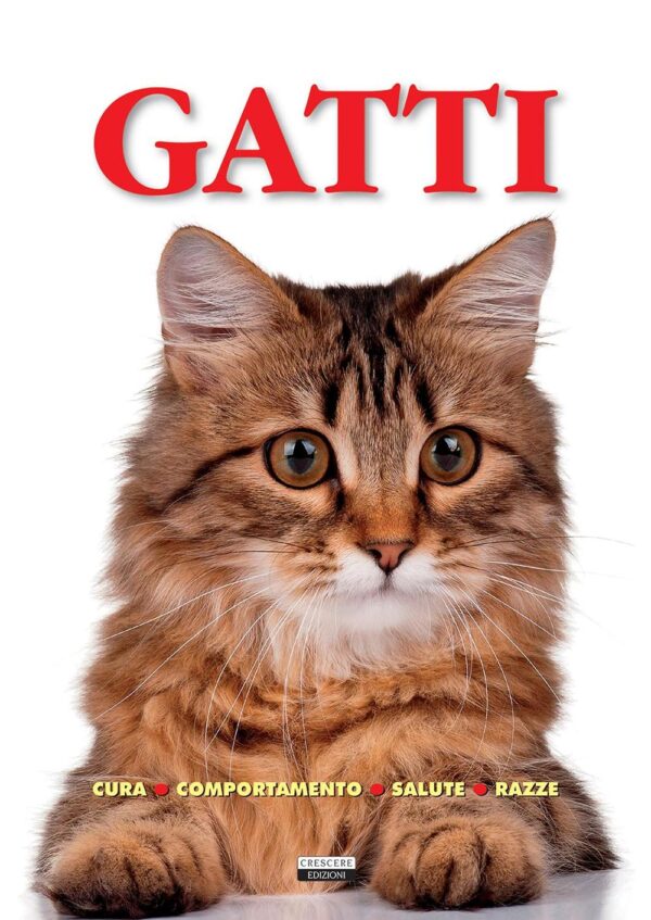 Libro Gatti. Cura