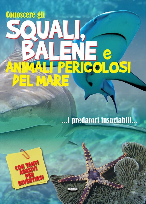 Libro Conoscere gli squali