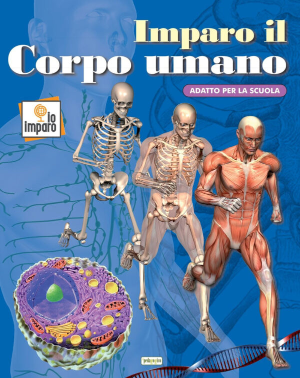 Libro Imparo il corpo umano di  - ean 9788883374630 - ilPedagogico