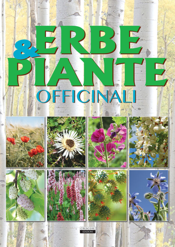 Libro Erbe & piante officinali di  - ean 9788883376092 - Crescere