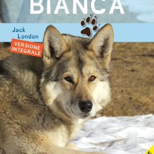 Libro Zanna Bianca. Ediz. ad alta leggibilità di Jack London - ean 9788883376207 - ilPedagogico