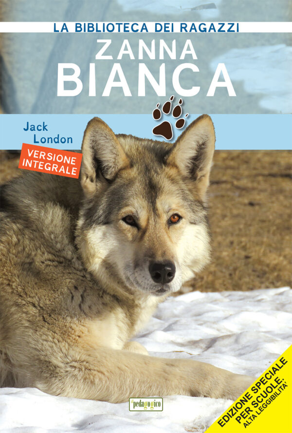 Libro Zanna Bianca. Ediz. ad alta leggibilità di Jack London - ean 9788883376207 - ilPedagogico