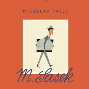 Libro Miroslav Šašek di Martin Salisbury - ean 9788885810358 - LupoGuido