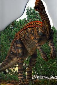 Libro Coritosauro di  - ean 9788887545531 - Ape Junior