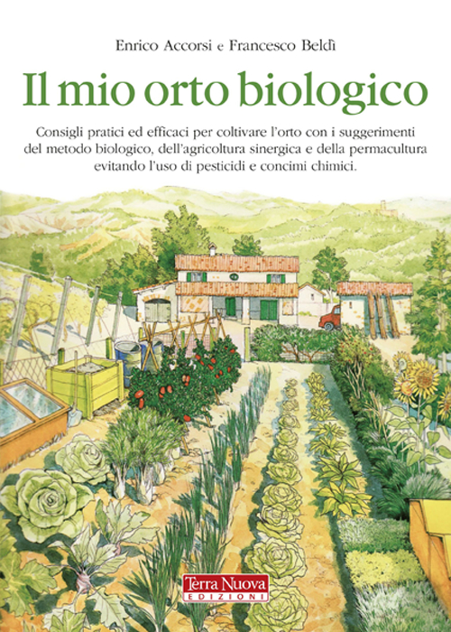 Libro mio orto biologico di Enrico Accorsi; Francesco Beldì - ean 9788888819617 - Terra Nuova Edizioni