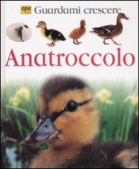 Libro Anatroccolo. Guardami crescere di Lisa Magloff - ean 9788888883052 - Ape Junior