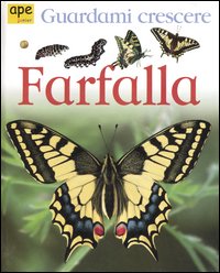 Libro Farfalla. Guardami crescere di Lisa Magloff - ean 9788888883410 - Ape Junior