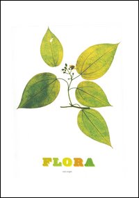Libro Flora di Nick Knight - ean 9788889032275 - Contrasto