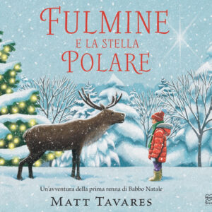 Libro Fulmine e la stella polare di Matt Tavares - ean 9788893083577 - Nord-Sud