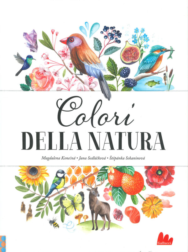 Libro Colori della natura di Jana Sedlácková; Stepánka Sekaninová - ean 9788893489065 - Gallucci