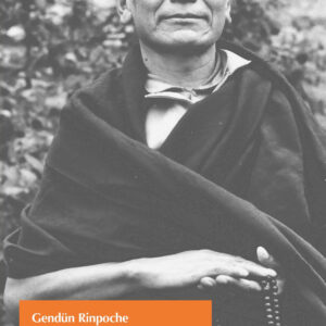 Libro Istruzioni spirituali. Dal cuore di un Maestro Mahāmudrā di Gendün (Rinpoche) - ean 9788893662109 - Le Lettere