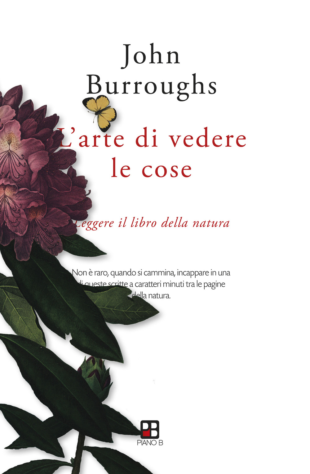 Libro arte di vedere le cose. Leggere il libro della natura di John Burroughs - ean 9788893710978 - Piano B