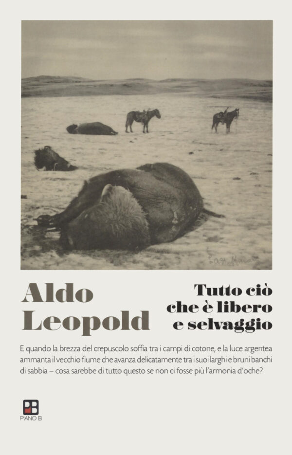 Libro Tutto ciò che è libero e selvaggio di Aldo Leopold - ean 9788893711104 - Piano B