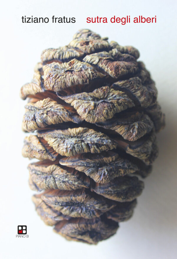 Libro Sutra degli alberi di Tiziano Fratus - ean 9788893711463 - Piano B