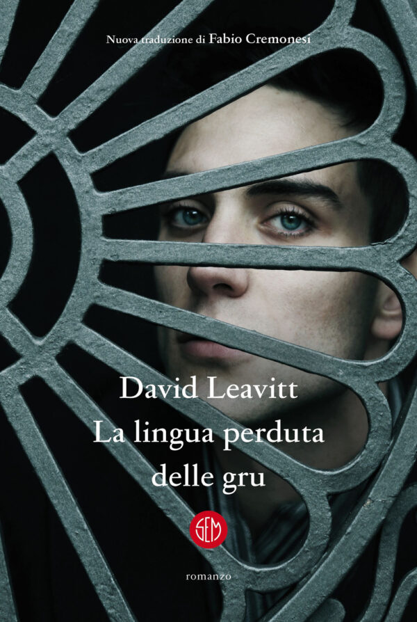 Libro lingua perduta delle gru di David Leavitt - ean 9788893903646 - SEM