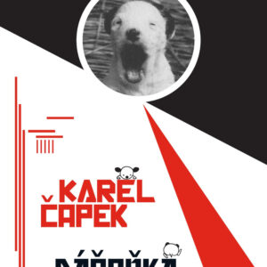 Libro Dasenka. Vita di un cucciolo di Karel Capek - ean 9788894556681 - WoM Edizioni