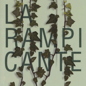 Libro rampicante di Davide Grittani - ean 9788894922066 - LiberAria Editrice