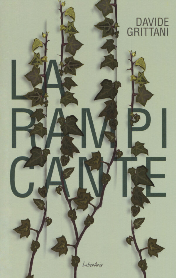 Libro rampicante di Davide Grittani - ean 9788894922066 - LiberAria Editrice