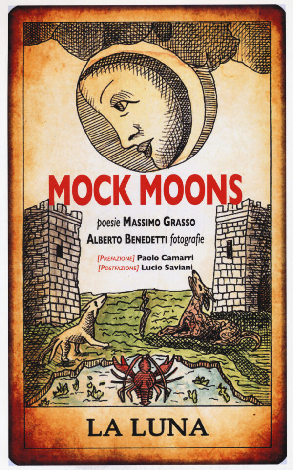Libro Mock moons. La luna di Massimo Grasso - ean 9788894947793 - Fefè