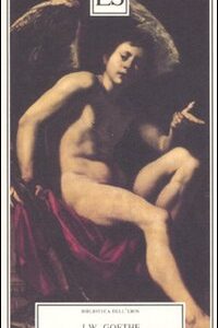 Libro Poesie erotiche di Johann Wolfgang Goethe - ean 9788895249094 - ES