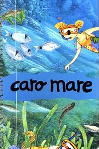 Libro Caro mare di Emanuela Nava - ean 9788895443287 - Carthusia
