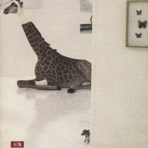 Libro giorno per disfare di Raffaele Riba - ean 9788896538937 - 66thand2nd