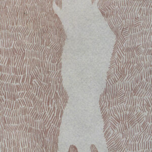 Libro Jenny e altri imprevisti di Jincy Willett - ean 9788896629475 - CartaCanta