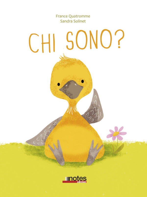 Libro Chi sono? di France Quatromme - ean 9788897007685 - Notes Edizioni