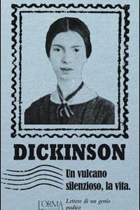 Libro vulcano silenzioso