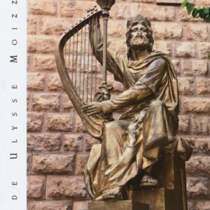 Libro Israele e Territori Palestinesi di Carla Diamanti - ean 9788898050543 - Guidemoizzi