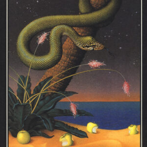 Libro undicimila verghe di Guillaume Apollinaire - ean 9788898401437 - ES