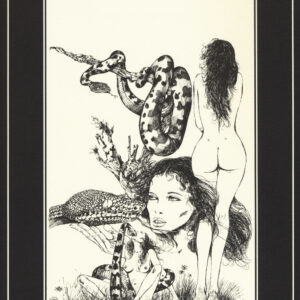 Libro Emmanuelle di Guido Crepax - ean 9788898401680 - ES