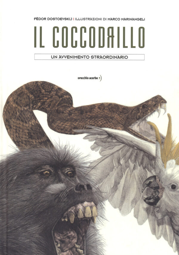 Libro maestro di Fabrizio Silei; Simone Massi - ean 9788899064495 - Orecchio Acerbo