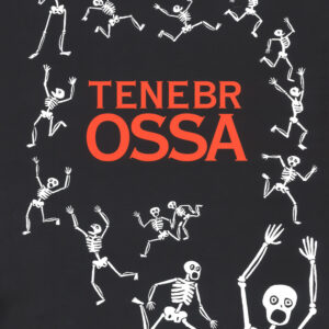 Libro Tenebrossa di Jean-Luc Fromental - ean 9788899064662 - Orecchio Acerbo