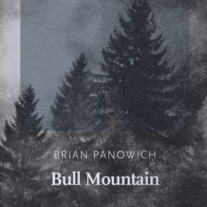 Libro Bull Mountain di Brian Panowich - ean 9788899253530 - NN Editore