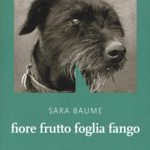 Libro Fiore frutto foglia fango di Sara Baume - ean 9788899253820 - NN Editore