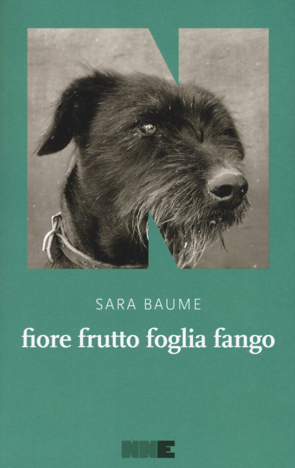 Libro Fiore frutto foglia fango di Sara Baume - ean 9788899253820 - NN Editore